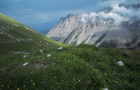 Tirol auf den Schwingen des Adlers - Adlerweg Grassland and mountains